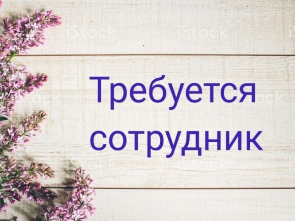 Требуется сотрудник!